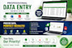 provide fast and accurate data entry services