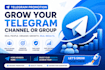 do telegram promotion for your channel