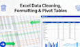 clean, format, and enter data