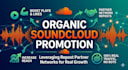 do organic promotion through repost partner networks on soundcloud