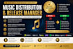 fix music distribution errors and manage your release professionally
