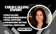 be professional cold caller b2b salescloser appointment settings sales rep