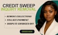 be your credit disputer expert