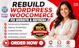 redesign woocommerce, rebuild wordpress website maintenance, wordpress update