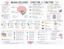 create luxury aesthetic study notes