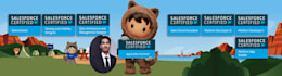 be your salesforce developer, consultant, and administrator