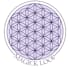 create a neuroaffirming guide to you