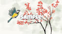 draw illustration and make it into motion graphics
