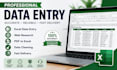 do data entry, excel data cleaning and web reseaerch