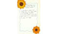 write beautiful handwritten letters and custom designs