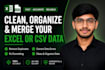 clean, format, organize, and merge excel or CSV data