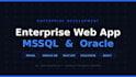 develop enterprise web application with mssql and oracle