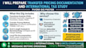 prepare transfer pricing documentation and international tax study
