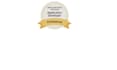 offer my services as netsuite developer and consultant