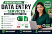 do accurate data entry,excel data processing