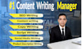 write SEO friendly website content and article