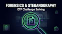 solve digital forensics and steganography challenges