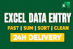 do fast excel data entry, web research, sorting in 2 hours