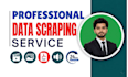 do professionaly web scraping and data scraping from any website