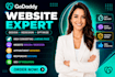 design and redesign godaddy website and godaddy ecommerce website