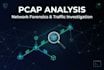 analyze pcap files and perform network forensics