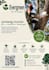 design a professional business flyer