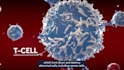 create 3d car t cell therapy biotech and medical animation video
