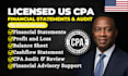 prepare investor ready financial statement, audit ready statement, audit report