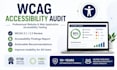 perform a wcag accessibility audit of your website