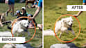 professionally edit, retouch, and enhance your photos
