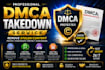 remove stolen content with professional dmca takedown service