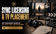 help prepare  your music for sync licensing in TV ads and film placements