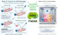 create scientific, medical illustrations and infographics