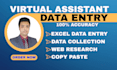 do accurate data entry, excel work and copy paste