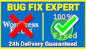 do wordpress customization bug fixes speed optimization