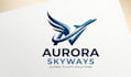 design professional aviation, airplane logo badge patch