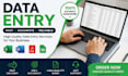 do data entry, web research, and targeted email collection