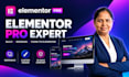 build or redesign an elementor pro website