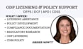 help with dfps, dcf, apd, cdss, odp licensing and policy