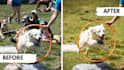 remove unwanted objects from your photos