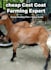 provide low cost goat farming consultation and setup guide