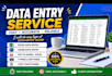 accurate data entry and web research