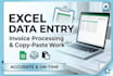 do expert excel data entry and invoice processing