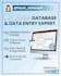 do ms access database creation and professional data entry