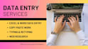 do professional data entry and fast typing work