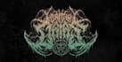 make your death metal, deathcore, slam logo for your project