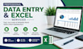 do data entry, excel work, and office management tasks professionally