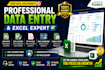 excel data entry export
