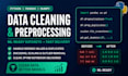 clean, preprocess and analyze your dataset for ml in python