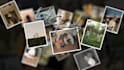 create a cinematic wedding photo slideshow and birthday slideshow video
